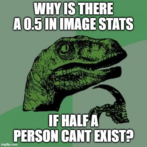 0.5 | WHY IS THERE A 0.5 IN IMAGE STATS; IF HALF A PERSON CANT EXIST? | image tagged in memes,philosoraptor | made w/ Imgflip meme maker
