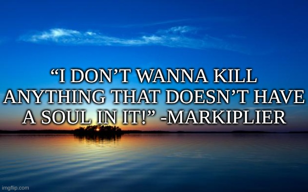e | “I DON’T WANNA KILL ANYTHING THAT DOESN’T HAVE A SOUL IN IT!” -MARKIPLIER | image tagged in memes,quotes | made w/ Imgflip meme maker