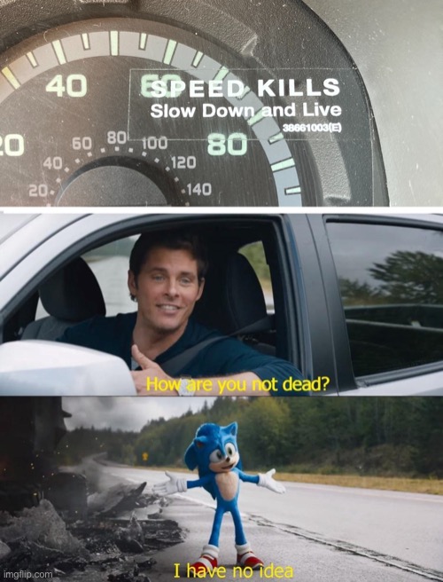 If speed kills... | image tagged in speed kills,sonic how are you not dead,sonic i have no idea,memes | made w/ Imgflip meme maker