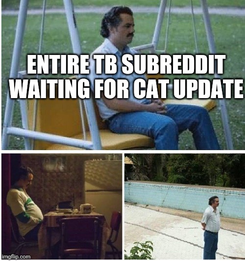 Narcos waiting | ENTIRE TB SUBREDDIT WAITING FOR CAT UPDATE | image tagged in narcos waiting | made w/ Imgflip meme maker