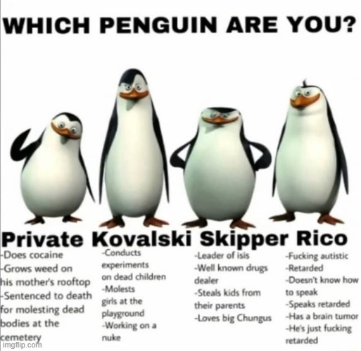 image tagged in penguins of madagascar | made w/ Imgflip meme maker