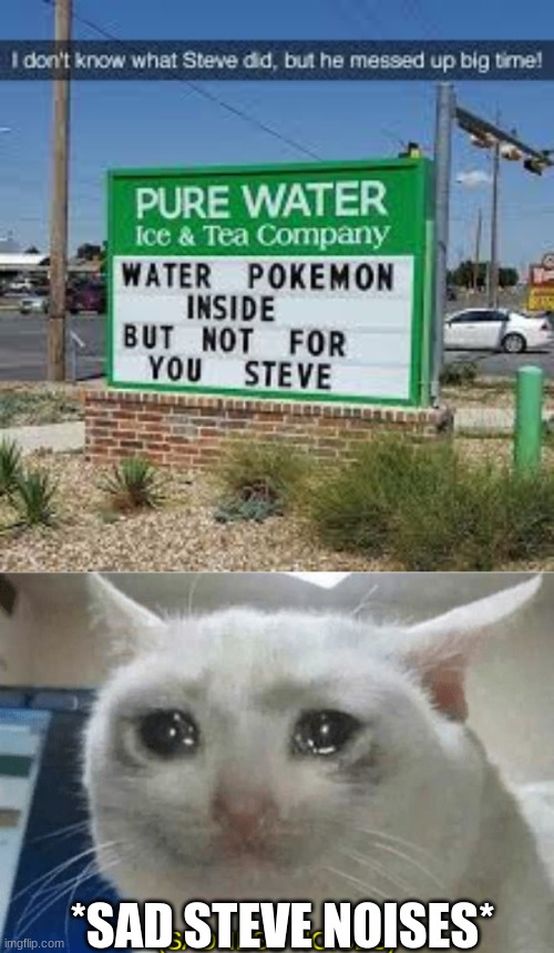 Poor Steve | *SAD STEVE NOISES* | image tagged in sadness noises | made w/ Imgflip meme maker