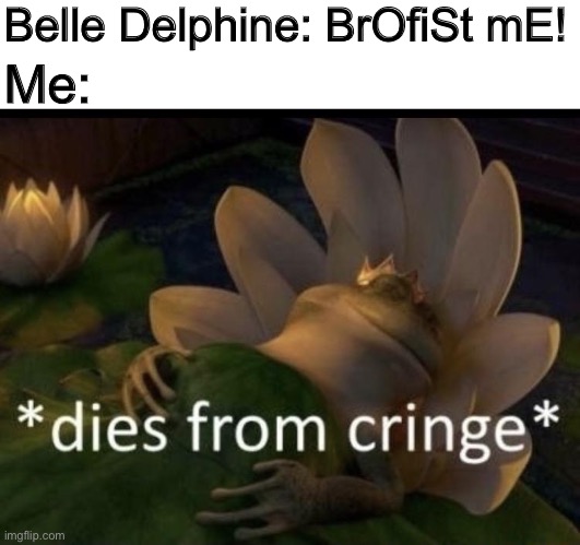 Stop it Belle. Get some help. | Belle Delphine: BrOfiSt mE! Me: | image tagged in dies from cringe,brofist,cringe,belle delphine,sucks | made w/ Imgflip meme maker
