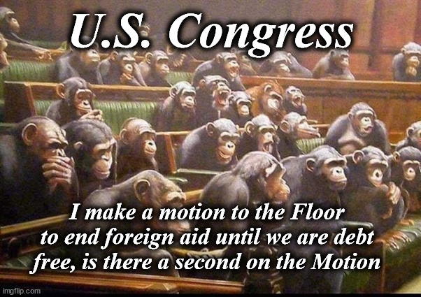 UN Security Council | U.S. Congress; I make a motion to the Floor to end foreign aid until we are debt free, is there a second on the Motion | image tagged in un security council | made w/ Imgflip meme maker