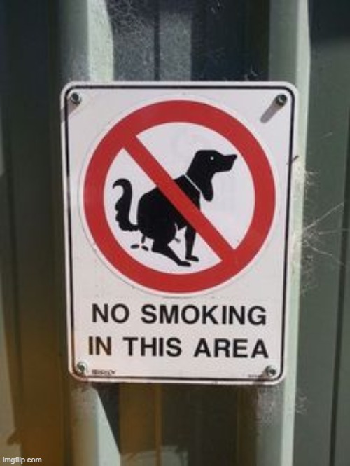 People who cant read be like: Ight, since my dog cant go crap, I'll just have some puffs | image tagged in e | made w/ Imgflip meme maker