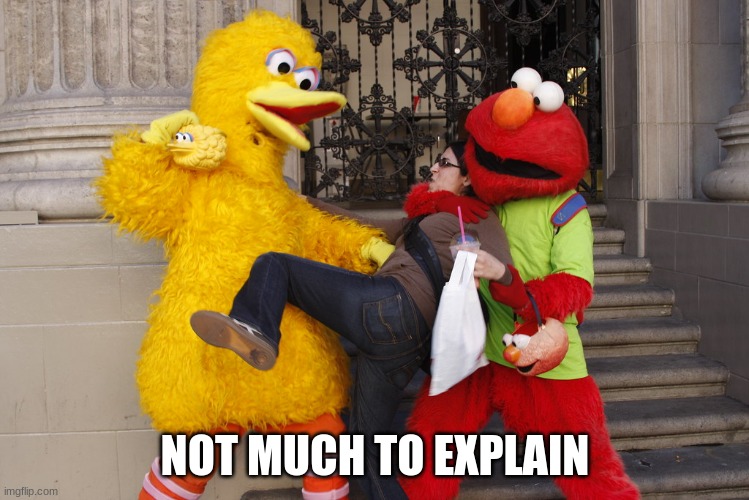 oooof | NOT MUCH TO EXPLAIN | image tagged in big bird | made w/ Imgflip meme maker
