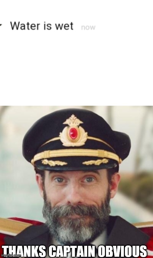 THANKS CAPTAIN OBVIOUS | image tagged in thanks captain obvious | made w/ Imgflip meme maker