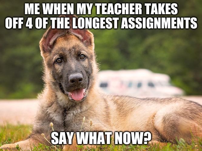 ME WHEN MY TEACHER TAKES OFF 4 OF THE LONGEST ASSIGNMENTS; SAY WHAT NOW? | image tagged in school | made w/ Imgflip meme maker