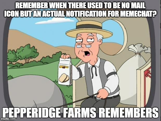 PEPPERIDGE FARMS REMEMBERS | REMEMBER WHEN THERE USED TO BE NO MAIL ICON BUT AN ACTUAL NOTIFICATION FOR MEMECHAT? | image tagged in pepperidge farms remembers | made w/ Imgflip meme maker