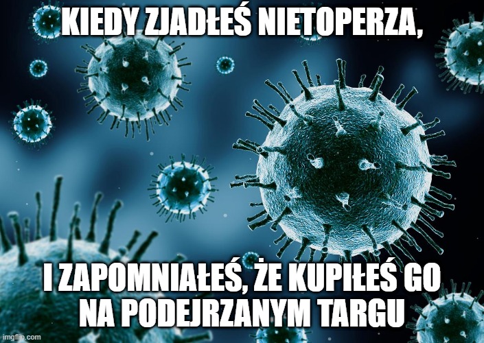 MEME 3310 | KIEDY ZJADŁEŚ NIETOPERZA, I ZAPOMNIAŁEŚ, ŻE KUPIŁEŚ GO
NA PODEJRZANYM TARGU | image tagged in memes,funny | made w/ Imgflip meme maker