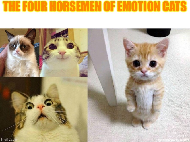THE FOUR HORSEMEN OF EMOTION CATS | image tagged in memes,grumpy cat,smiling cat,scared cat,cute cat | made w/ Imgflip meme maker