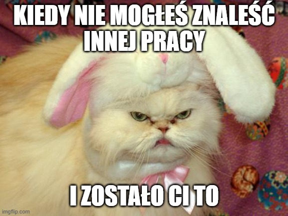 MEME3310-2 | KIEDY NIE MOGŁEŚ ZNALEŚĆ
INNEJ PRACY; I ZOSTAŁO CI TO | image tagged in memes,funny | made w/ Imgflip meme maker