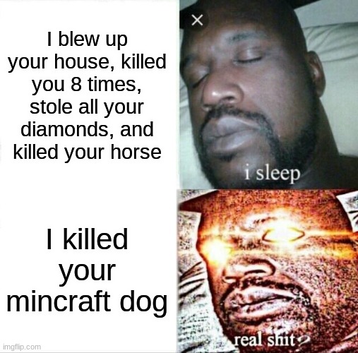 Sleeping Shaq | I blew up your house, killed you 8 times, stole all your diamonds, and killed your horse; I killed your mincraft dog | image tagged in memes,sleeping shaq | made w/ Imgflip meme maker