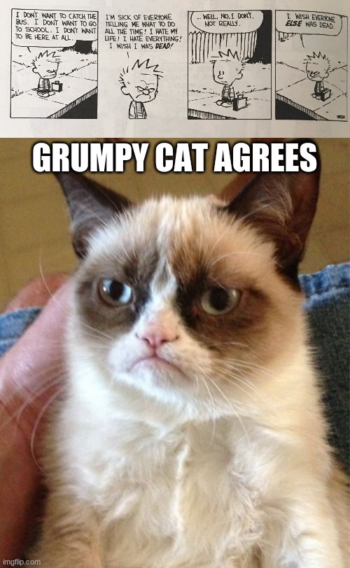 GRUMPY CAT AGREES | image tagged in memes,grumpy cat | made w/ Imgflip meme maker