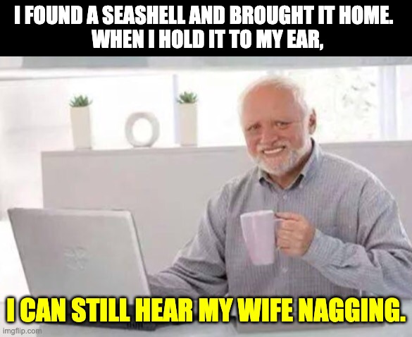 Sea SHell | I FOUND A SEASHELL AND BROUGHT IT HOME. 
 WHEN I HOLD IT TO MY EAR, I CAN STILL HEAR MY WIFE NAGGING. | image tagged in harold | made w/ Imgflip meme maker