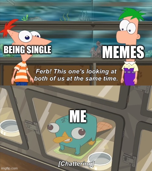 phineas and ferb | BEING SINGLE MEMES ME | image tagged in phineas and ferb | made w/ Imgflip meme maker