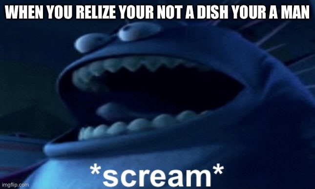 Screaming monster | WHEN YOU REALIZE YOUR NOT A DISH YOUR A MAN | image tagged in screaming monster | made w/ Imgflip meme maker