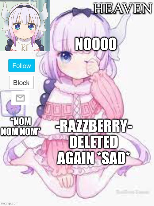 I’m sad | NOOOO; -RAZZBERRY- DELETED AGAIN *SAD* | image tagged in heavens template | made w/ Imgflip meme maker