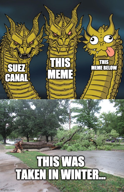 SUEZ CANAL THIS MEME THIS MEME BELOW THIS WAS TAKEN IN WINTER... | image tagged in three-headed dragon,fallen tree | made w/ Imgflip meme maker