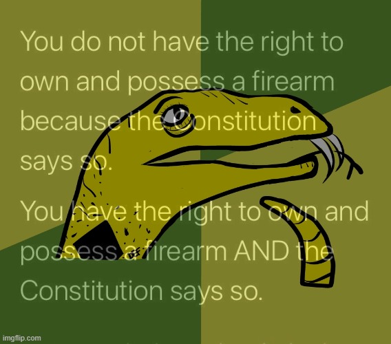 Libertarian Philososnek | image tagged in constitution,the constitution,libertarian,gun rights,gun laws,second amendment | made w/ Imgflip meme maker