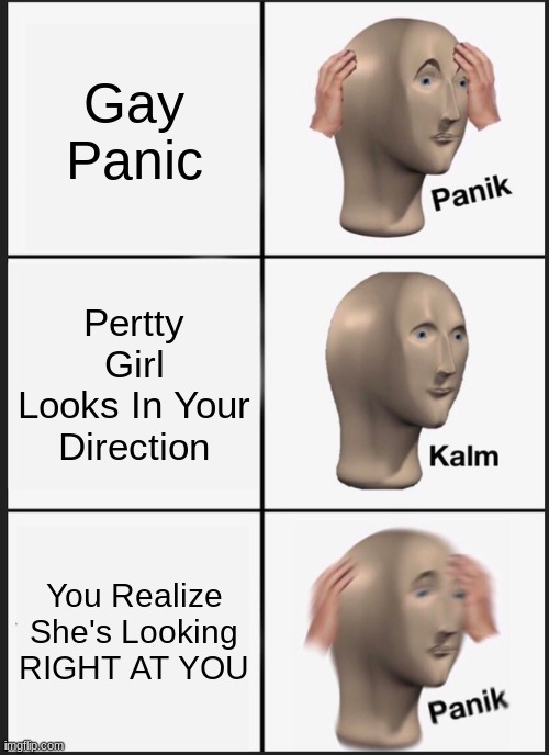 Gay Stuffs | Gay Panic; Pertty Girl Looks In Your Direction; You Realize She's Looking RIGHT AT YOU | image tagged in memes,panik kalm panik | made w/ Imgflip meme maker