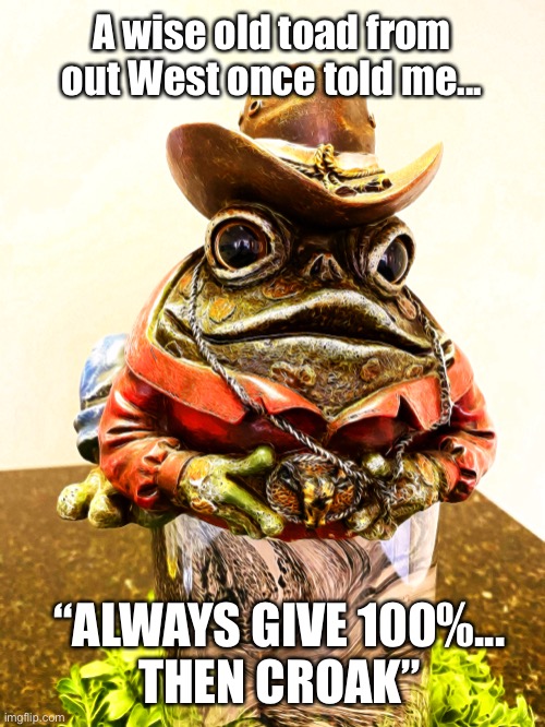 Wise Toad | A wise old toad from out West once told me... “ALWAYS GIVE 100%...
THEN CROAK” | image tagged in animals,frog,toad,words of wisdom,western | made w/ Imgflip meme maker