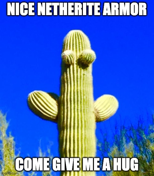 Huggy Cactus  | NICE NETHERITE ARMOR COME GIVE ME A HUG | image tagged in huggy cactus | made w/ Imgflip meme maker