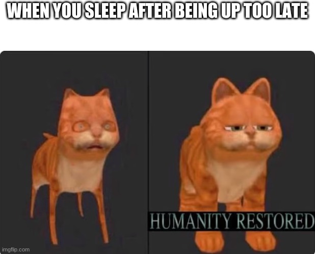 i sleep |  WHEN YOU SLEEP AFTER BEING UP TOO LATE | image tagged in humanity restored,memes | made w/ Imgflip meme maker