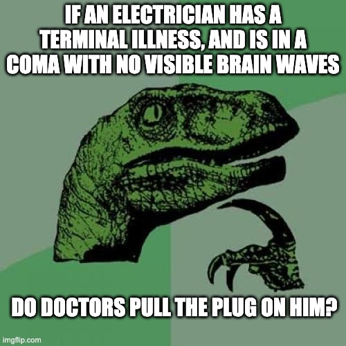 Plug | IF AN ELECTRICIAN HAS A TERMINAL ILLNESS, AND IS IN A COMA WITH NO VISIBLE BRAIN WAVES; DO DOCTORS PULL THE PLUG ON HIM? | image tagged in memes,philosoraptor | made w/ Imgflip meme maker