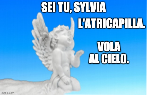  SEI TU, SYLVIA; L'ATRICAPILLA. VOLA AL CIELO. | made w/ Imgflip meme maker