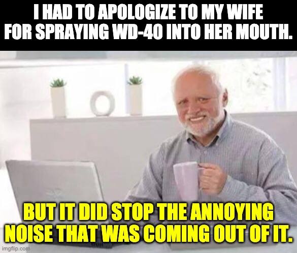 WD-40 | I HAD TO APOLOGIZE TO MY WIFE FOR SPRAYING WD-40 INTO HER MOUTH. BUT IT DID STOP THE ANNOYING NOISE THAT WAS COMING OUT OF IT. | image tagged in harold | made w/ Imgflip meme maker