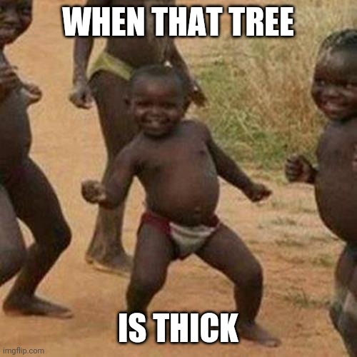 Thick | WHEN THAT TREE; IS THICK | image tagged in memes,third world success kid | made w/ Imgflip meme maker