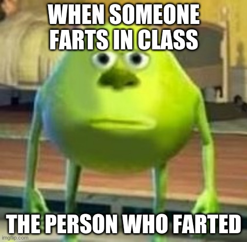 mike with sully | WHEN SOMEONE FARTS IN CLASS; THE PERSON WHO FARTED | image tagged in mike with sully's face | made w/ Imgflip meme maker