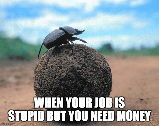 Dung Beetle Pushing Poop | WHEN YOUR JOB IS STUPID BUT YOU NEED MONEY | image tagged in dung beetle pushing poop | made w/ Imgflip meme maker