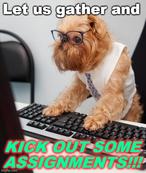 work dog | Let us gather and; KICK OUT SOME ASSIGNMENTS!!! | image tagged in work dog | made w/ Imgflip meme maker
