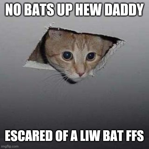 Ceiling Cat | NO BATS UP HEW DADDY; ESCARED OF A LIW BAT FFS | image tagged in memes,ceiling cat | made w/ Imgflip meme maker