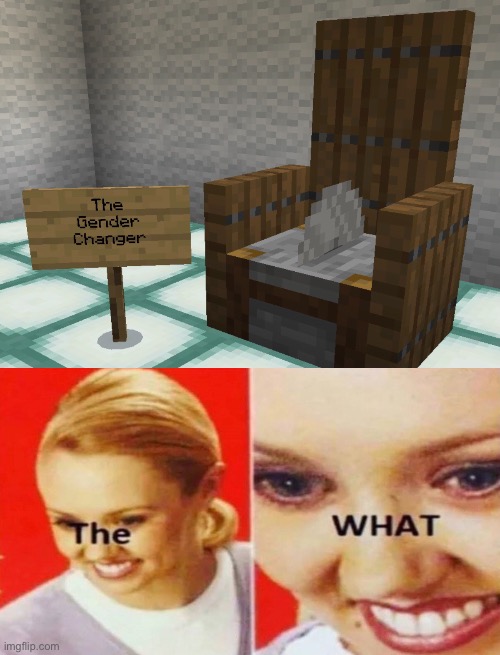 The, What | image tagged in funny,minecraft,the what | made w/ Imgflip meme maker