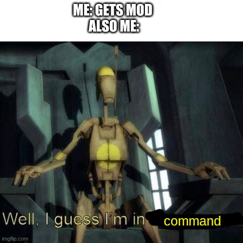 guess i'm in charge | ME: GETS MOD 

ALSO ME:; command | image tagged in guess i'm in charge | made w/ Imgflip meme maker