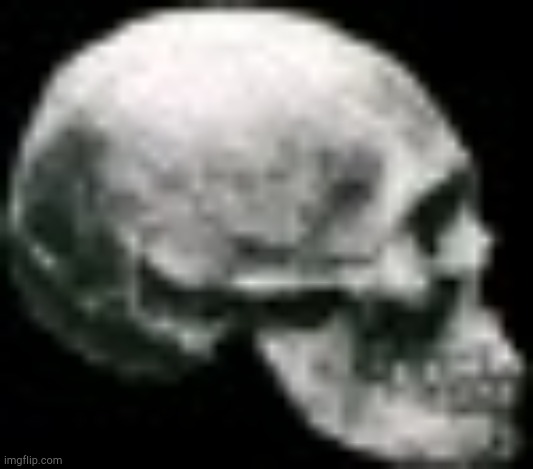 Evil Skull! | image tagged in evil skull | made w/ Imgflip meme maker