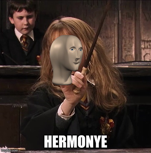 hermonye | HERMONYE | image tagged in hermione assertiva | made w/ Imgflip meme maker