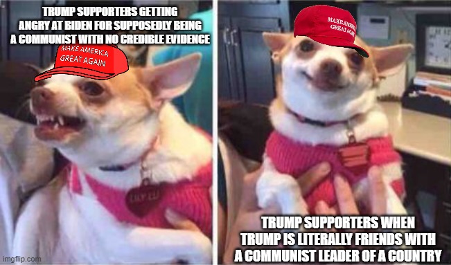 HYPOCRITES | TRUMP SUPPORTERS GETTING ANGRY AT BIDEN FOR SUPPOSEDLY BEING A COMMUNIST WITH NO CREDIBLE EVIDENCE; TRUMP SUPPORTERS WHEN TRUMP IS LITERALLY FRIENDS WITH A COMMUNIST LEADER OF A COUNTRY | image tagged in chiuaua,trump supporter,communism,communist,trump,north korea | made w/ Imgflip meme maker