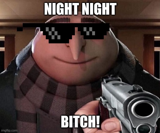 Gru Gun | NIGHT NIGHT; BITCH! | image tagged in gru gun | made w/ Imgflip meme maker