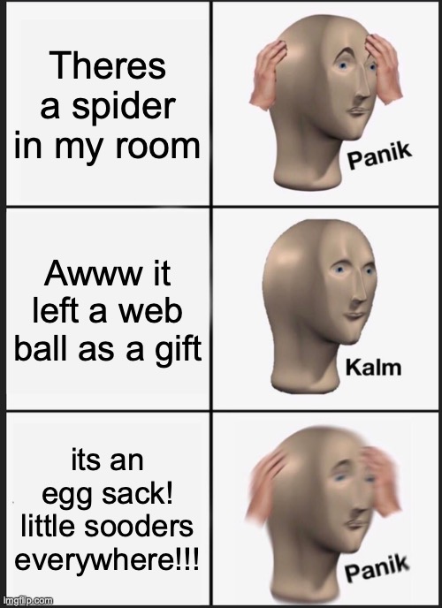 Hi I have arachnophobia (a fear of spiders) and this event was real! it happened to me 1 hour ago :) (im gonna die TwT) |  Theres a spider in my room; Awww it left a web ball as a gift; its an egg sack! little sooders everywhere!!! | image tagged in memes,panik kalm panik,arachnophobia,spider,im scared,im in danger | made w/ Imgflip meme maker