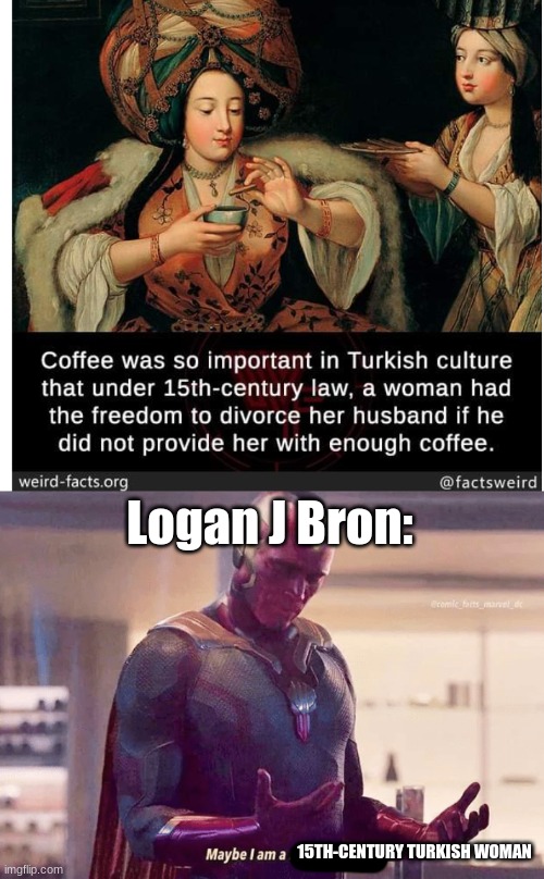 Logan J Bron:; 15TH-CENTURY TURKISH WOMAN | image tagged in maybe i am a monster blank | made w/ Imgflip meme maker