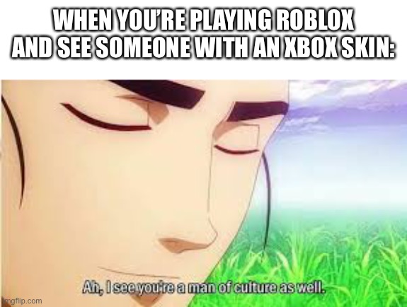 Relatable I hope | WHEN YOU’RE PLAYING ROBLOX AND SEE SOMEONE WITH AN XBOX SKIN: | image tagged in ah i see you are a man of culture as well,roblox,xbox,who reads these | made w/ Imgflip meme maker