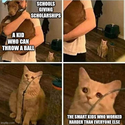 True tho | SCHOOLS GIVING SCHOLARSHIPS; A KID WHO CAN THROW A BALL; THE SMART KIDS WHO WORKED HARDER THAN EVERYONE ELSE | image tagged in sad cat holding dog | made w/ Imgflip meme maker