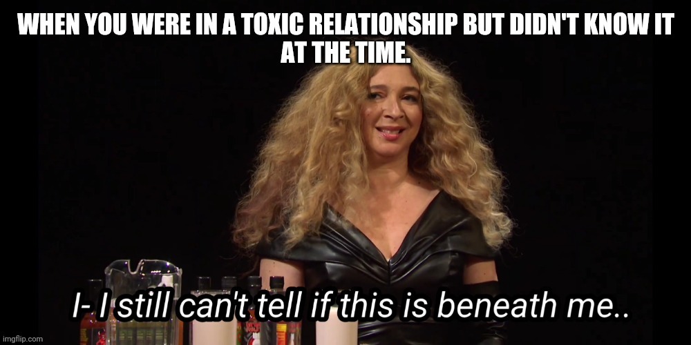 Toxicity | image tagged in maya rudolph,beyonce,hot ones,snl,toxic,when you realize | made w/ Imgflip meme maker