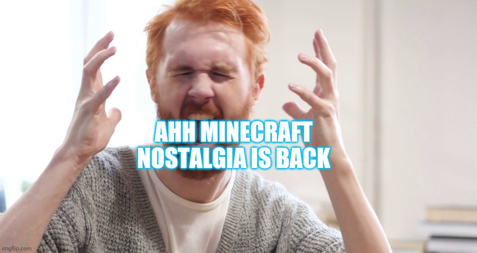 WHY!! | AHH MINECRAFT NOSTALGIA IS BACK | image tagged in why | made w/ Imgflip meme maker