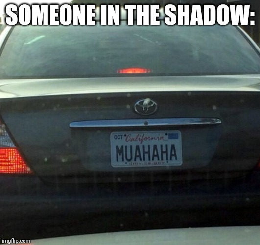 License Plate | SOMEONE IN THE SHADOW: | image tagged in license plate | made w/ Imgflip meme maker