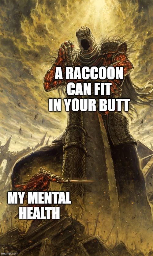 Yhorm Dark Souls | A RACCOON CAN FIT IN YOUR BUTT; MY MENTAL HEALTH | image tagged in yhorm dark souls | made w/ Imgflip meme maker